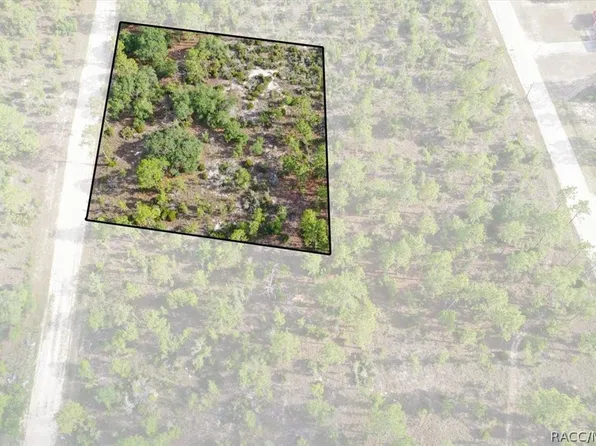 0 NE 132nd Ter Lot 4, Williston, FL 32696