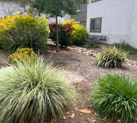 3rd image of 10249 Bell Gardens Dr Unit 8