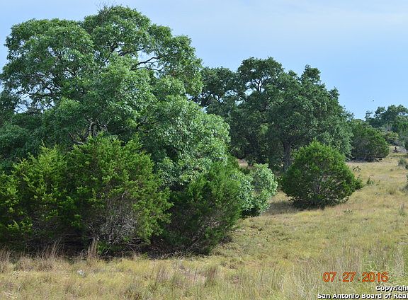 3rd image of 212 White Oak Trl