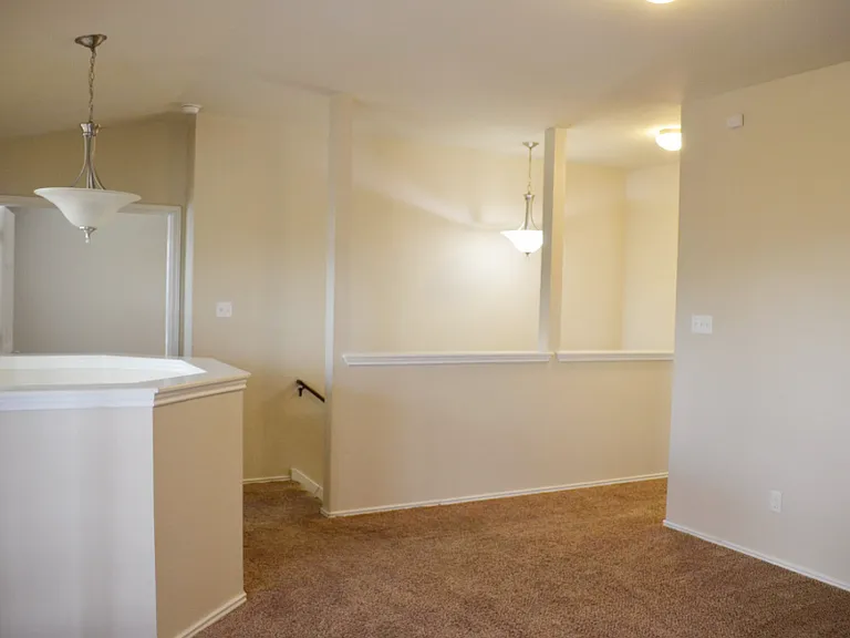 4808 Green Meadow St — Photo 22