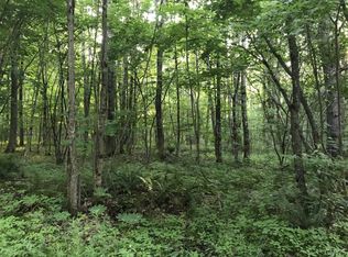 0 McBerney Rd #12, Greene, NY 13778