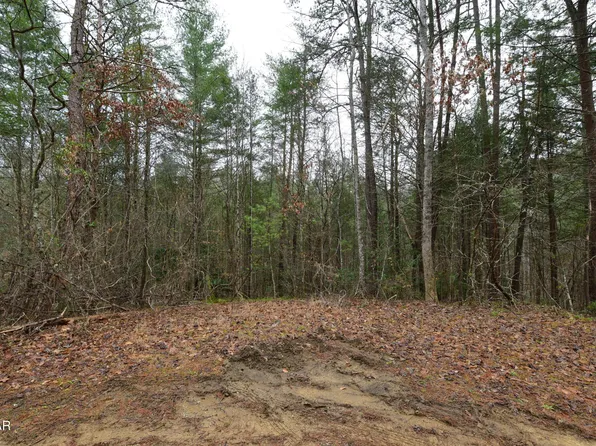 LOT 23 Alpine Ridge Way, Sevierville, TN 37876