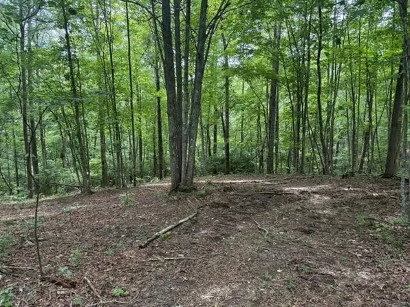 3 S Pittsburg Mountain Rd Lot 3B, South Pittsburg, TN 37380