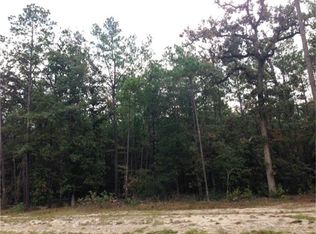 27522 Hunter Creek Ct, Spring, TX 77386