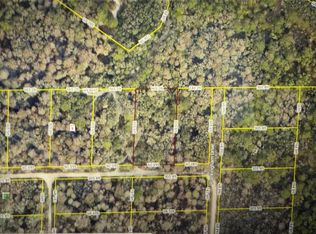 Rose Bloom Ave LOT 7, Webster, FL 33597