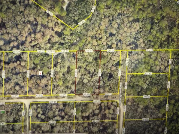 Rose Bloom Ave Lot 7, Webster, FL 33597