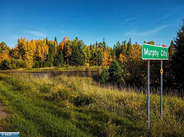 Highway 1, Finland, MN 55603