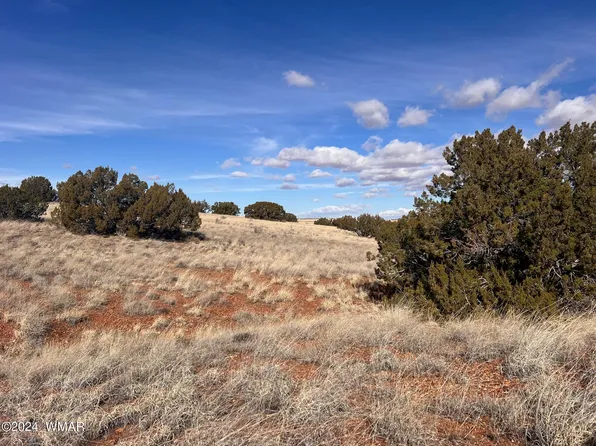 Poplar St, Snowflake, AZ 85937