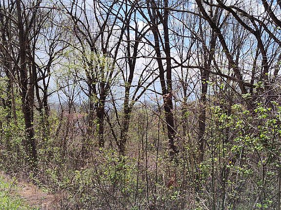 4th image of 25 Harbor Pointe Dr Lot 25