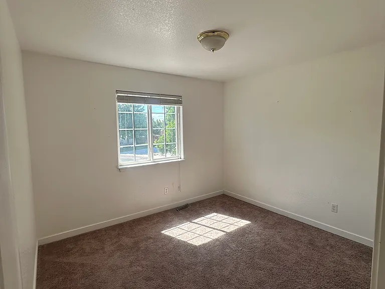 4302 Limestone Ln — Photo 17