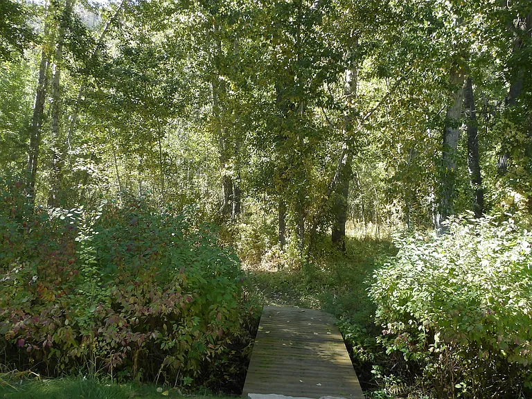 170 Aspen Lakes Dr — Photo 53
