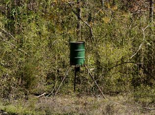 16931 County Road 2203, Arp, TX 75750