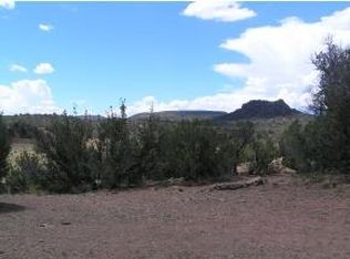 0 S Kahala Ranch Rd, Ash Fork, AZ 86320