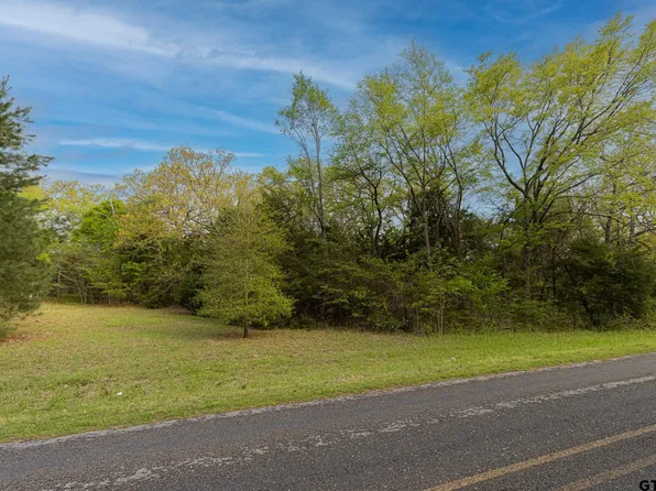 17237 Hidden Valley Ln, Flint, TX 75762
