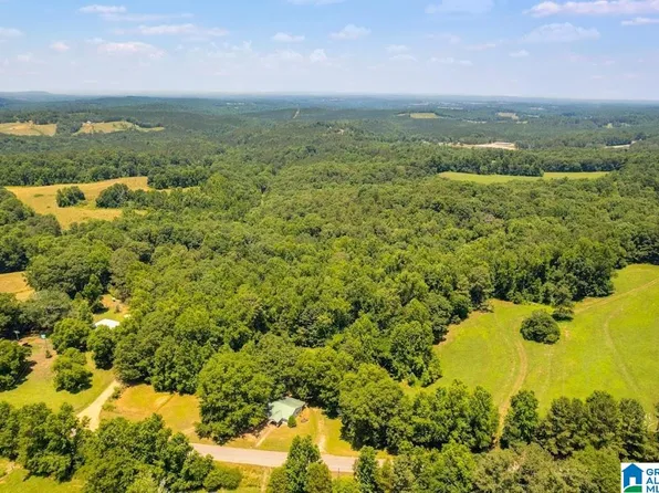40AC County Road 10 #0, Ranburne, AL 36273