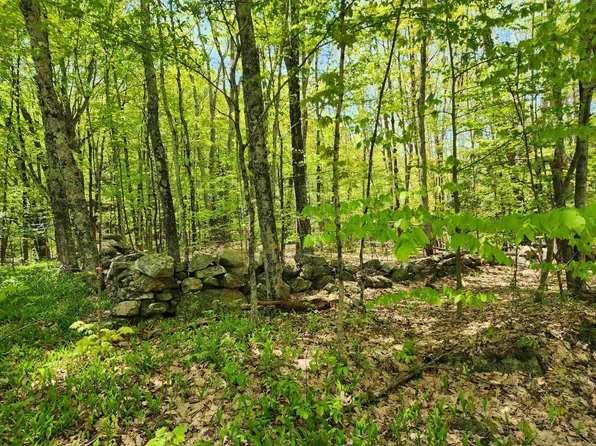 000 South Village Road #R13-13, Westmoreland, NH 03467