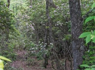 0 Rainbow Lake Dr #38B, Dillard, GA 30537