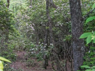 0 Rainbow Lake Dr #38B, Dillard, GA, 30537