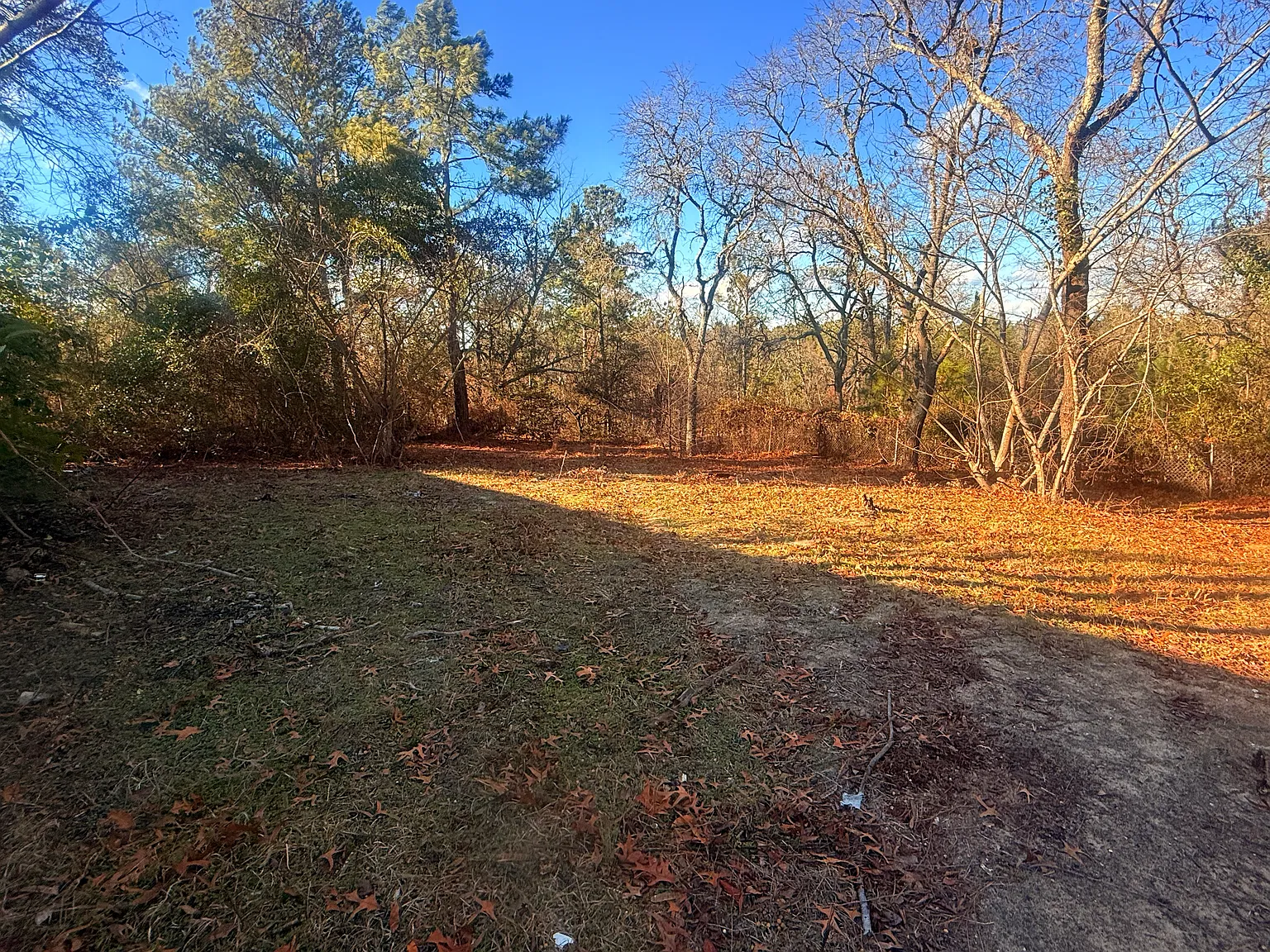 2 bed, 1128 sqft, $1,500 — Photo 4