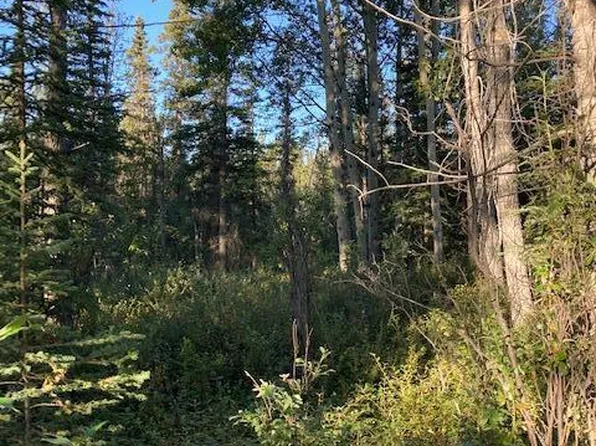 Mile 6.9 Old Edgerton Rd, Copper Center, AK 99573