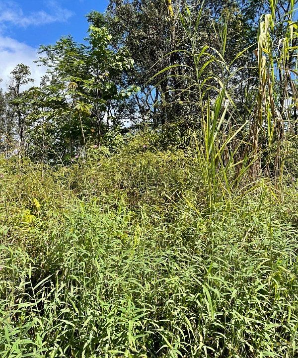2nd image of 14-3547 Pakalana Rd Lot 60