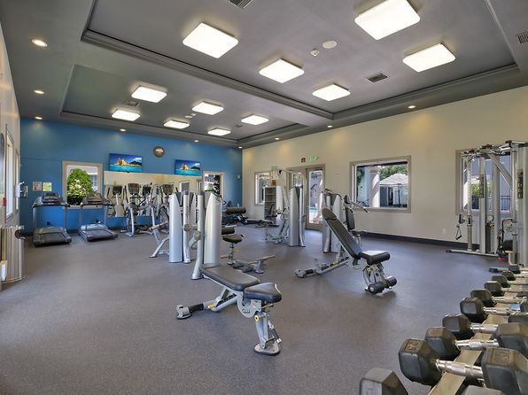 250 Palm Valley Blvd #258307
