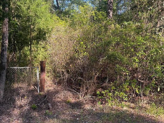 4th image of Bob Sikes Rd