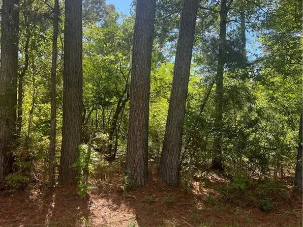 158 Lynn Lake Rd, Pollock, LA 71467