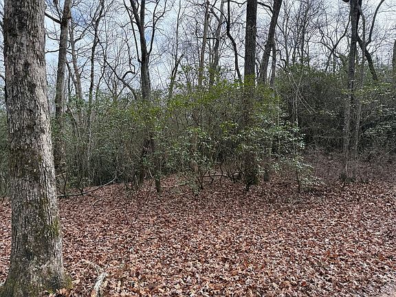 5th image of 25 Ideal Acres Rd