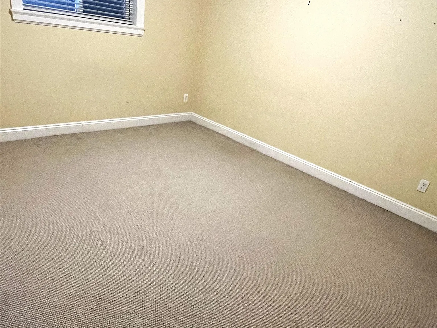 2 bed, 700 sqft, $1,400 — Photo 4