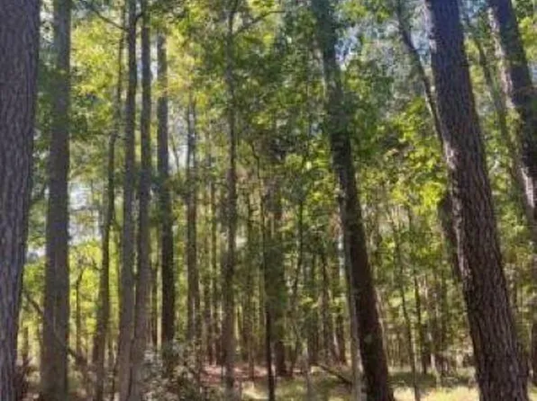 0 Riley Rd, Saint Matthews, SC 29135