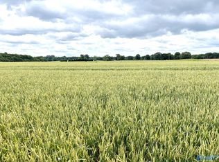 3773 Snake Rd, Athens, AL 35611