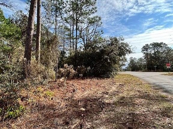 3rd image of 4015 W Indian Rock Pl