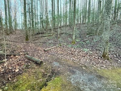 0 Spring Rd, Hendersonville, NC, 28739