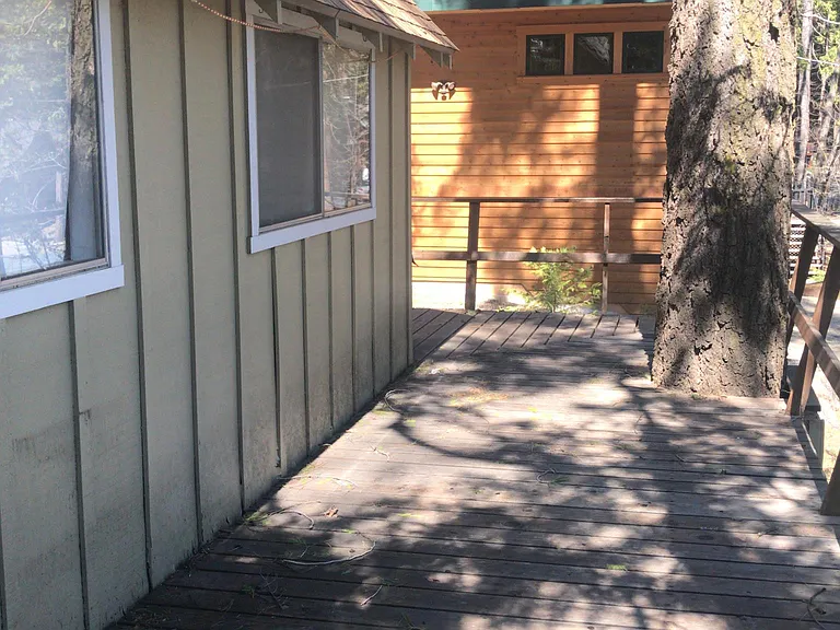 View of more Dogwoods to right of deck corner.