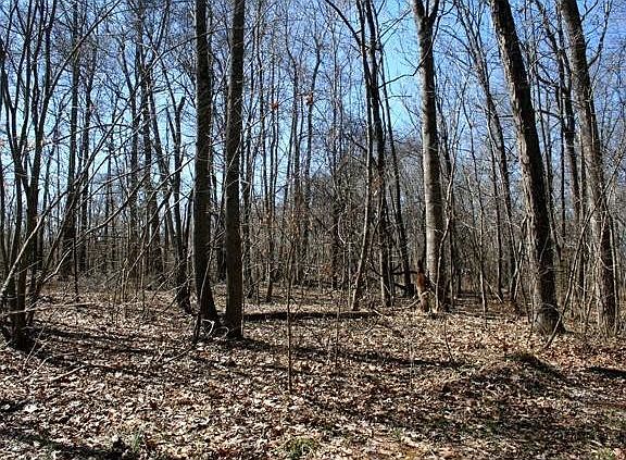 4th image of 8 Nicks Rd