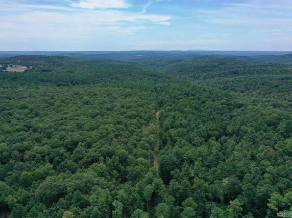 329 Foxtail Loop, Shirley, AR 72153