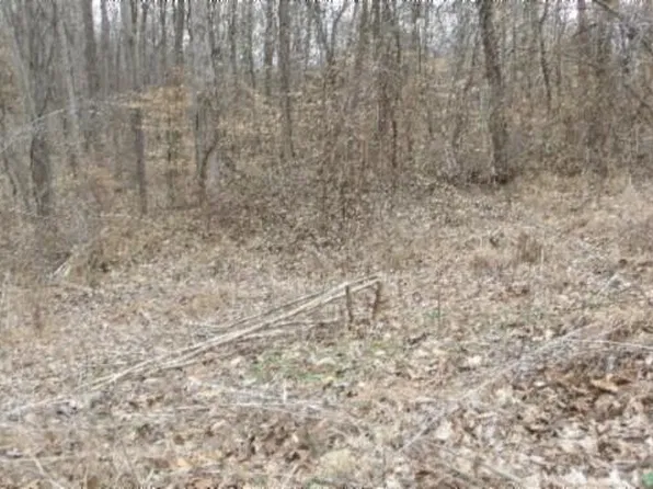 LOT 24 Beaver Ln, Gainesboro, TN 38562