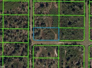 2037 S Brodie Rd, Avon Park, FL 33825