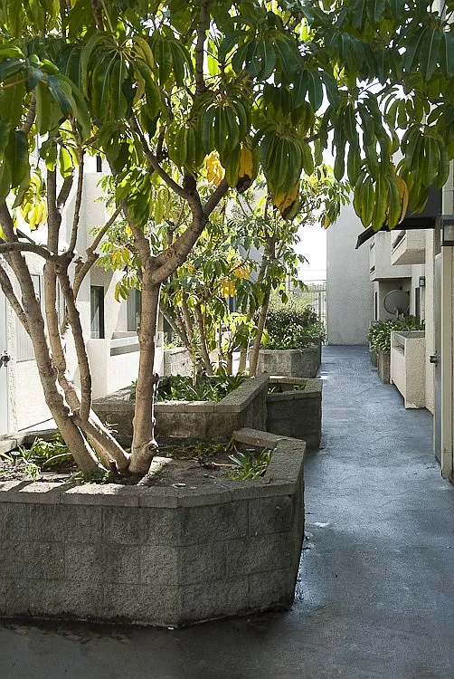 2 bed, $2,275 — Photo 3