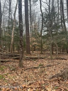 169-171 Traver Road, Gansevoort, NY, 12831