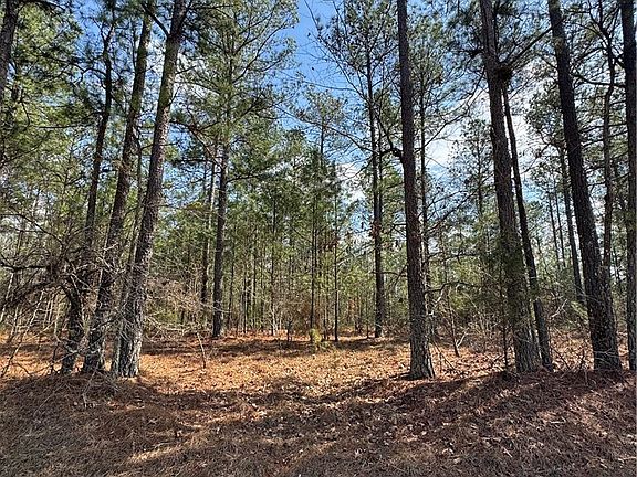 4th image of 0 Anthony Shoals Road