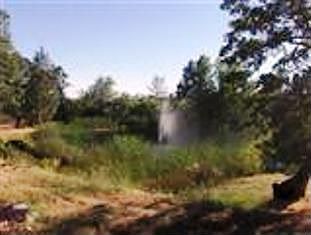One of two ponds