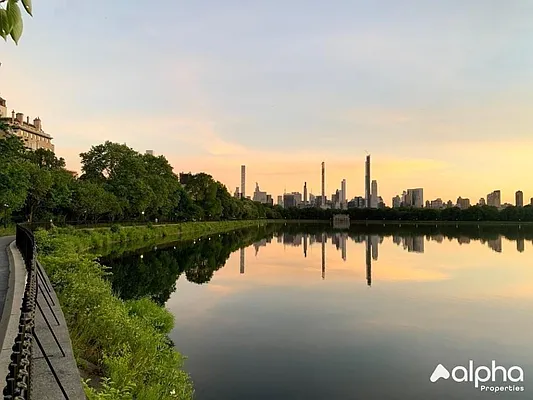 Rented by Alpha Properties NYC I LLC | media 2