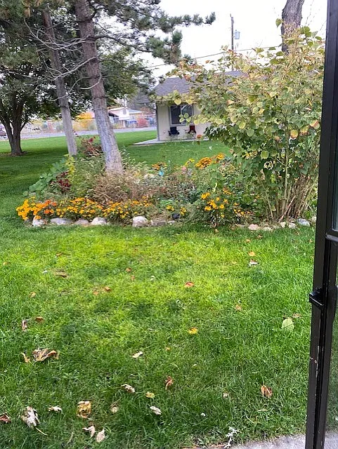 1 bed, $800 — Photo 2