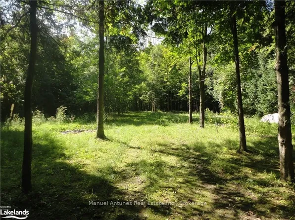 LOT 31 Mighton Ct, Clearview, ON L0M 1S0