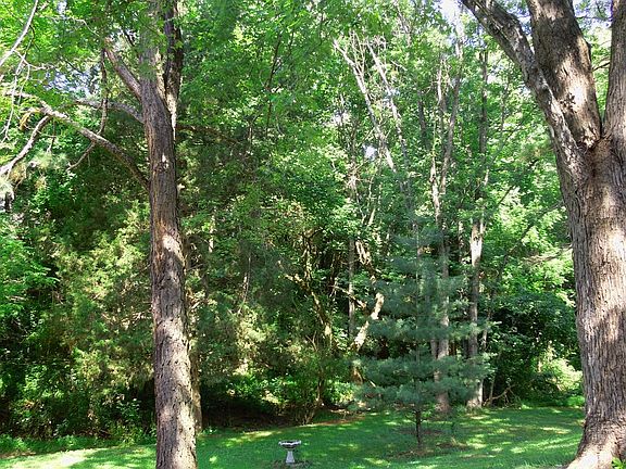 Shaded backyard with stream
