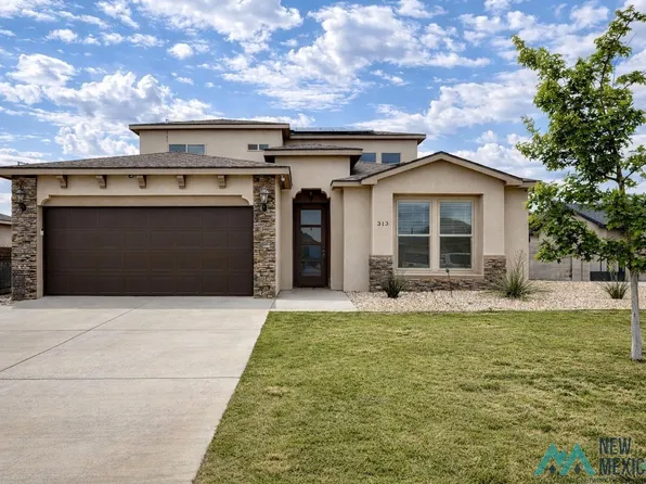 313 Baler Ln, Carlsbad, NM 88220