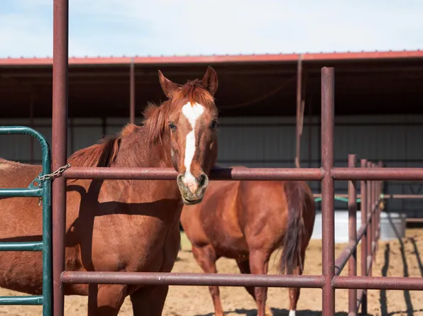 7153 Us 64, Bloomfield, NM 87413