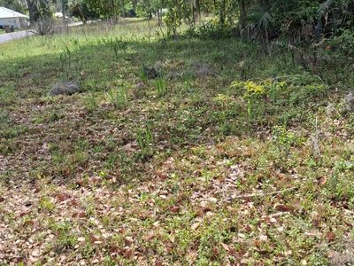 552 NE Gurley Ave, Lake City, FL, 32055